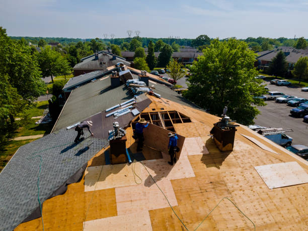 Best Roof Gutter Cleaning  in Victoria, VA