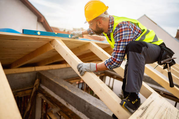 Best Roof Gutter Cleaning  in Victoria, VA