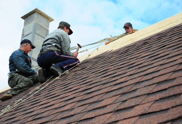 Best Local Roofing Companies  in Victoria, VA
